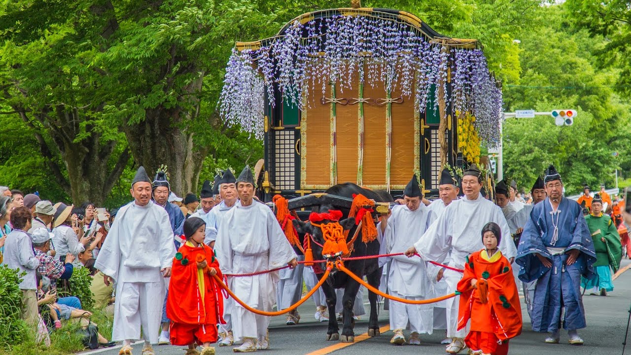 Passpod, Festival Musim Semi, Jepang